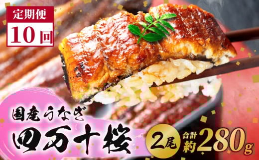 【通常用】【10回定期便】極上国産うなぎ四万十桜 蒲焼き約140g×2尾 | うなぎ 鰻 蒲焼き 定期便 国産 四万十鰻 白焼き 調理済み タレ付き 頒布会 ギフト(お歳暮/お正月)高級 お取り寄せ グ