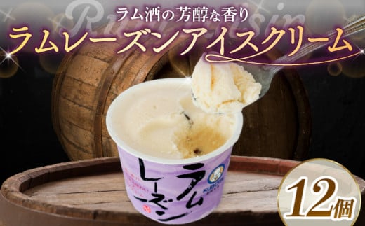 ラムレーズンアイスクリーム110ml?12個 | アイスクリーム ラム 酒 レーズン アイス カップアイス 人気 大容量 有名 アイスセット 詰め合わせ スイーツ ジェラート 久保田食品 高知県 南国市高