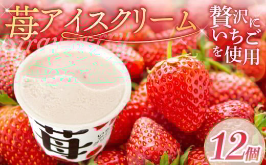 苺アイスクリーム110ml?12個 | アイスクリーム 人気 大容量 有名 アイスセット 詰め合わせ スイーツ ジェラート 久保田食品 高知県 南国市高知県南国市16000菓子・スイーツアイス・ジェラート