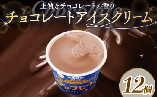 チョコレートアイスクリーム110ml?12個 | アイスクリーム チョコレート チョコアイス カップアイス 人気 大容量 有名 アイスセット 詰め合わせ スイーツ ジェラート 久保田食品 高知県 南国市