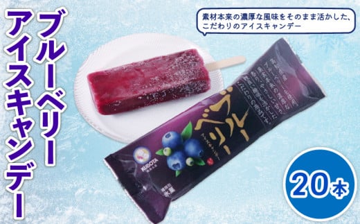 ブルーベリーアイスキャンデー80ml?20本 | アイスクリーム 人気 大容量 有名 アイスセット 詰め合わせ スイーツ ジェラート 久保田食品 高知県 南国市高知県南国市19000菓子・スイーツアイス