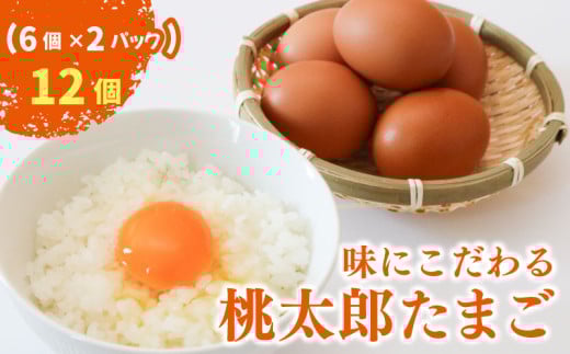 桃太郎たまご  6個入り×2パック | たまご 卵 鶏卵 たまごかけごはん たまごかけ TKG おいしい 赤玉 高級 人気 おすすめ 高知県 南国市高知県南国市5000卵・乳製品卵(鶏、烏骨鶏等)