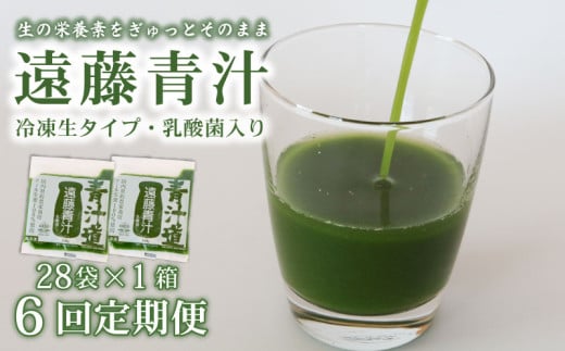 【6ヶ月定期便】 遠藤青汁 【生】 冷凍 1箱 2.8kg( 100g × 28袋 ) | 健康 美容 乳酸菌 国産 ケール ビタミン ミネラル 食物繊維 冷凍 ロングセラー お試し青汁 遠藤青汁 新鮮 高知県 南国市高知県