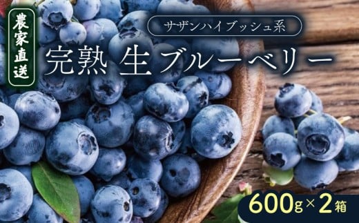【農家直送】完熟生ブルーベリー(サザンハイブッシュ系)600g×2箱 | 2026年発送 早期予約 ブルーベリー フルーツ 果物 厳選 人気 デザート ギフト プレゼント 贈り物 くだもの 旬 甘い 先行