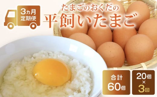 【定期便3回】平飼い卵 20個入り (10個×2パック) | たまご 卵 タマゴ 鶏卵 たまごかけごはん TKG オムレツ 卵かけご飯 たまご焼き おいしい 人気 おすすめ  高知県 南国市高知県南国市24000卵・