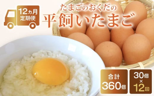 【定期便12回】平飼い卵 30個入り (10個×3パック) | たまごのおくだ 卵 タマゴ 鶏卵 たまごかけごはん TKG オムレツ 卵かけご飯 たまご焼き おいしい 人気 おすすめ  高知県 南国市高知県南国市