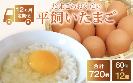 【定期便12回】平飼い卵 60個入り (10個×6パック) | たまご 卵 タマゴ 鶏卵 たまごかけごはん TKG オムレツ 卵かけご飯 たまご焼き おいしい おすすめ 高知県 南国市高知県南国市264000卵・乳製