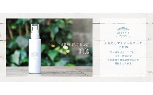 VR100̓VĈI[KjbNRX 2_Zbg | ϕi ϐ et I[KjbN RX OAo Mq 䂸 ƍ͔| lߍ킹 lC  m 썑sm썑s460