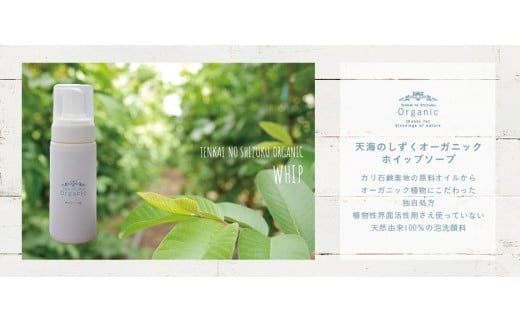 VR100̓VĈI[KjbNRX 4_ZbgA | ϕi ϐ et zCbv \[v tBgV[h N[ I[KjbN RX OAo e  Mq 䂸 ƍ͔| т