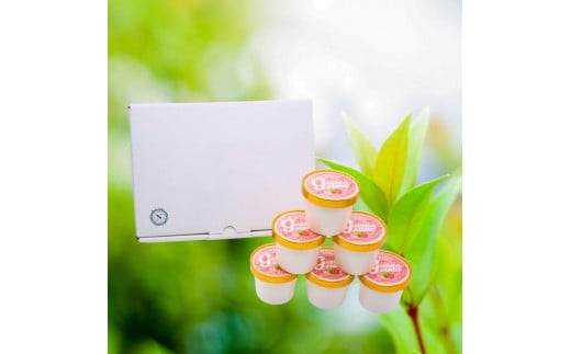 有機グアバ農園のなめらかジェラート 計18個 | デザート スイーツ セット お菓子 夏 詰め合わせ ビタミンC おかし 美容 フルーツ グアバ  食品 人気 冷凍 カップ アイス おすすめ 高知県 南国
