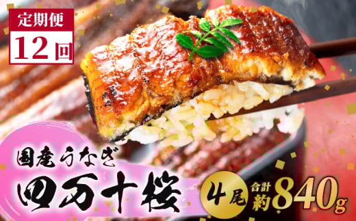 【贈答用】【12回定期便】特大 極上国産うなぎ四万十桜 蒲焼き約210g×4尾|うなぎ 鰻 蒲焼き 定期便 国産 四万十鰻 白焼き 調理済み タレ付き 頒布会 ギフト(お歳暮/お正月)高級 お取り寄