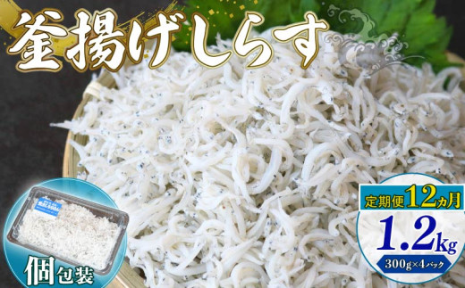 【定期便12回】釜揚げしらす 1.2kg(300g×4パック)| 釜揚げ ごはん 丼 パスタ 魚 料理 高知県 南国市 シラス しらす ちりめん じゃこ かちり 小魚 魚貝 魚貝類 しらす シラス 海鮮 しらす丼 シ