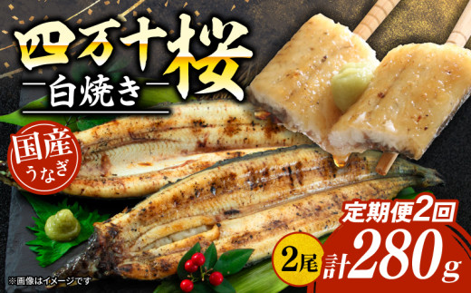 【贈答用】【2回定期便】極上国産うなぎ四万十桜 白焼き約140g×2尾 | うなぎ 鰻 ウナギ 白焼き 定期便 国産 四万十鰻 ウナギ 蒲焼き 調理済み タレ付き 頒布会 ギフト(お歳暮/お正月)高級