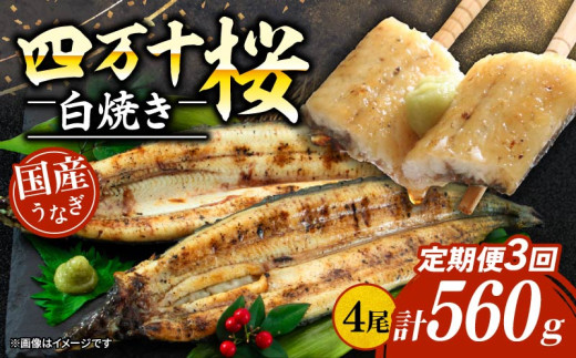 【贈答用】【3回定期便】極上国産うなぎ四万十桜 白焼き約140g×4尾 | うなぎ 鰻 ウナギ 白焼き 定期便 国産 四万十鰻 ウナギ 蒲焼き 調理済み タレ付き 頒布会 ギフト(お歳暮/お正月)高級