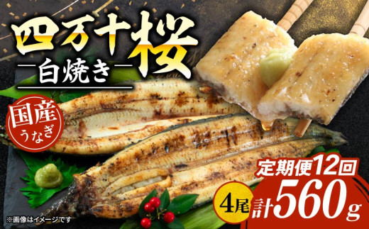 【贈答用】【12回定期便】極上国産うなぎ四万十桜 白焼き約140g×4尾 | うなぎ 鰻 ウナギ 白焼き 定期便 国産 四万十鰻 ウナギ 蒲焼き 調理済み タレ付き 頒布会 ギフト(お歳暮/お正月)高級