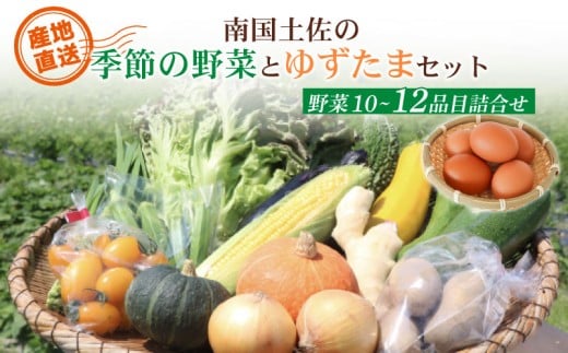 南国土佐の季節野菜と卵(ゆずたま)の詰め合わせセット | セット 詰め合わせ 旬 やさい 野菜 たまご 卵 柚子 ゆず ゆずたま 農家直送 お楽しみ かぼちゃ カボチャ キャベツ きゃべつ トマ