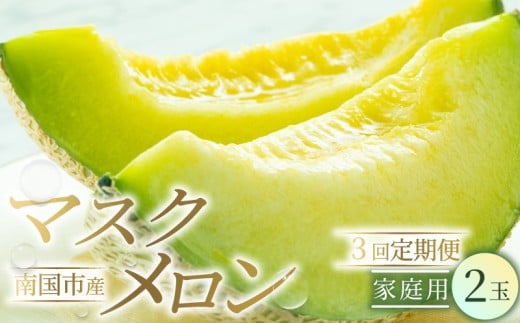 【3回定期便】家庭用 メロン 2玉 | 定期便 マスクメロン 2個 フルーツ 果物 厳選 高級 青肉メロン 人気 デザート ギフト プレゼント 贈り物 くだもの 旬 お取り寄せ 訳アリメロン 甘い 青肉 め