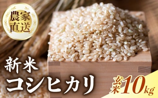 yV  10sz yʌz ߘa7Nx RVqJ  10s   o׊Jn   R    V  ɂ   m 썑sm썑s24000āEp