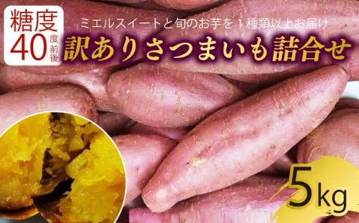 【新芋発送開始】 【訳あり】 サツマイモ 詰め合わせ 5キロ ミエルスイート +1種類以上 安納黄金 紅はるか 土佐紅 焼き芋 焼いも 焼芋 やきいも 野菜 やさい 食品 人気 おすすめ 高知県 南