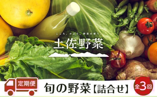 『定期便 全3回』【土佐野菜】旬の野菜の詰め合わせ | 野菜セット セット 野菜定期便 新鮮 野菜 毎月 人気 おすすめ 高知県 南国市高知県南国市34000野菜・きのこその他 野菜
