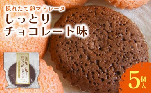 マドレーヌ しっとりチョコレート 5個入 | チョコ チョコレート 焼き菓子 お菓子 おかし 家庭用 ギフト 包装 スイーツ 人気 おすすめ たまご 卵 高知県 南国市高知県南国市5000菓子・スイーツ