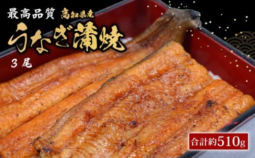 うなぎ蒲焼 約170g×3尾 高知県産 最高品質 合計約510g たれ 山椒 国産 鰻 かば焼 土佐焼  うな丼 うな重 高知県 南国市高知県南国市52000魚介・海産物うなぎ