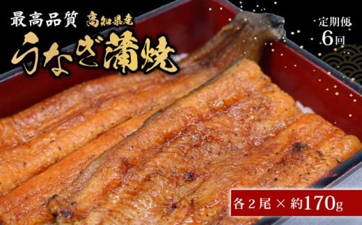 【6回定期便】 うなぎ蒲焼 約170g×2尾 高知県産 最高品質 合計約340g たれ 山椒 国産 鰻 かば焼 土佐焼 うな丼 うな重 高知県 南国市高知県南国市208000魚介・海産物うなぎ
