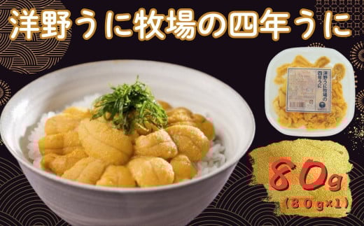 yߘaWNzs\  m삤ɖq̎lN 80×1pbN ~Eosgp Y kO  VR  _O L^TLEj茧m쒬17000ECYCJE^RE