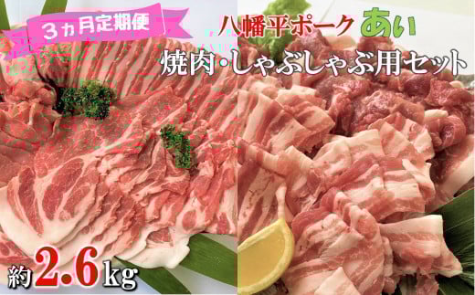 y3ցz|[N ēEԂԗpZbg 2.6kg  o [X [X  ؂ XCX  lߍ킹 v8pbN ①z茧m쒬75000ؓ