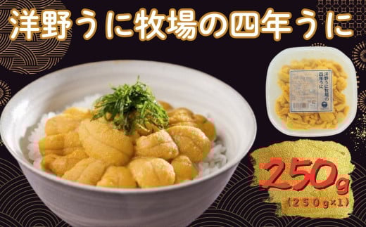yߘaWNzs\  m삤ɖq̎lN 250×1pbN ~Eosgp Y kO  VR  _O L^TLEj茧m쒬45000ECYCJE^R