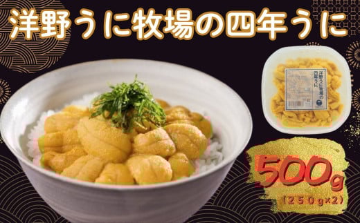 yߘaWNzs\  m삤ɖq̎lN 250×2pbN ~Eosgp Y kO  VR  _O L^TLEj茧m쒬86000ECYCJE^R