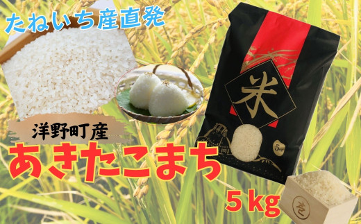【令和7年産】洋野町産あきたこまち5s岩手県洋野町17000米・パン白米