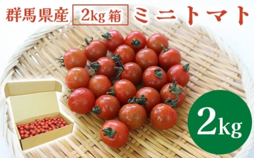 ミニトマト2s箱【10月以降順次発送】群馬県みどり市10000野菜・きのこトマト