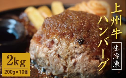 生冷凍 上州牛ハンバーグ 2kg(200g×10個)群馬県みどり市10000肉加工肉(ハム・ソーセージ等)