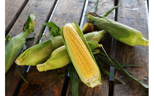 とうもろこし20本群馬県みどり市10000野菜・きのことうもろこし