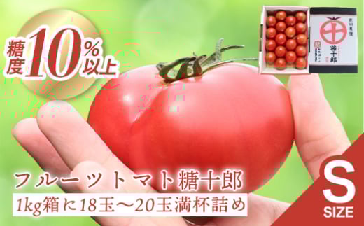 フルーツトマト糖十郎(Sサイズ)群馬県みどり市10000野菜・きのこトマト