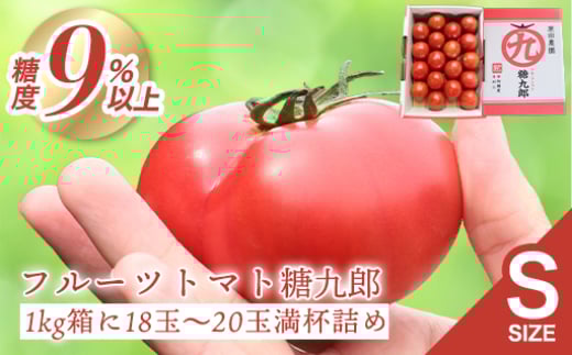 フルーツトマト糖九郎(Sサイズ)群馬県みどり市5000野菜・きのこトマト