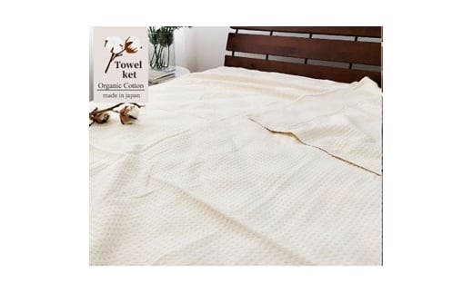 VOI[KjbNRbg^IPbg(145×190cm)Li@5774-KI [5385-0678]{ݘacs20000G݁EpiQE^I