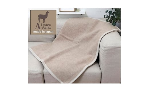 Ђ|TCYAfX̕ ApJ100%(щH)ѕz 70×100 AP-32H@BE [5385-0733]{ݘacs24000G݁EpiQE^I