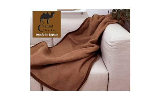 n[tTCYR񂾒g@L100%(щH)ѕz@CA-21R@BE [5385-0737]{ݘacs37000G݁EpiQE^I