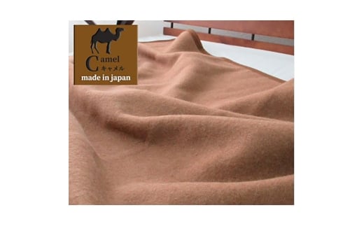 VOTCYR񂾒g@L100%(щH)ѕz@CA-20S@BE [5385-0738]{ݘacs70000G݁EpiQE^I