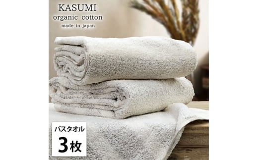 oX^I3gI[KjbNRbgoX^I(60×120cm)  BR [5385-1027]{ݘacs27000G݁EpiQE^I