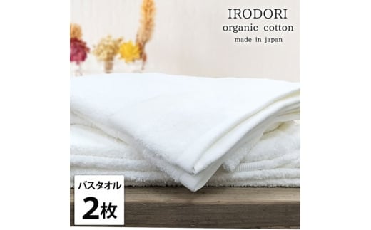 oX^I2gI[KjbNRbgoX^I(60×120cm) ʂWH [5385-1062]{ݘacs21000G݁EpiQE^I