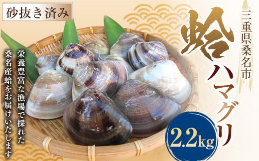 【指定日必須】 丸元水産 桑名産蛤 (ハマグリ) 2.2kg はまぐり 魚介 貝 魚貝 活はまぐり 焼きはま 海鮮 網焼き 酒蒸し お吸い物 パエリア パスタ 【2025年9月下旬から2026年6月下旬発送予定】