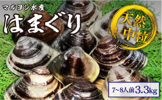 【指定日必須】マルヨシ水産 桑名産中粒天然蛤 3.3kg_はまぐり ハマグリ 魚介 貝 魚貝 活はまぐり 焼きはま 海鮮 網焼き 酒蒸し お吸い物 パエリア パスタ三重県桑名市520