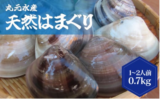【指定日必須】 丸元水産 桑名産蛤 (ハマグリ) 0.7kg_はまぐり 魚介 貝 魚貝 活はまぐり 焼きはま 海鮮 網焼き 酒蒸し お吸い物 パエリア パスタ 【2025年9月下旬から2026年6月下旬発送予定】 023-