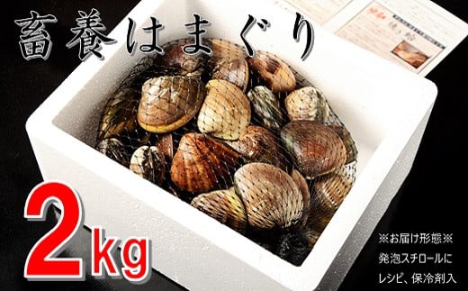 K͂܂艮@~{͂܂@3N`6Ń@2kg_@n}O@@L@L@͂܂@Ă͂܁@CN@ԏĂ@@z@pGA@pX^@md01OdKs19000