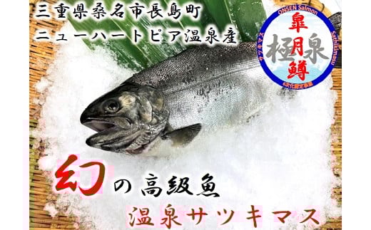 ニューハートピア温泉 温泉サツキマス (30〜35cm) 1匹分三重県桑名市11000魚介・海産物鮮魚