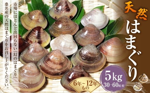 【指定日必須】 桑名産 天然はまぐり 6年〜12年もの 5kg ハマグリ 蛤 貝 カイ 天然 魚介 魚介類 海鮮 海の幸 冷蔵三重県桑名市70000魚介・海産物貝類