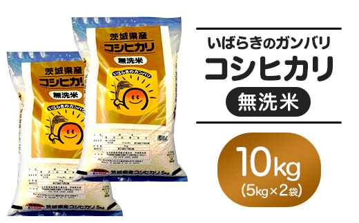 152【令和7年産】茨城県産 無洗米 コシヒカリ 10kg (5kg×2袋)茨城県茨城町31000米・パン無洗米